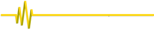 VWS Reverse logo banner