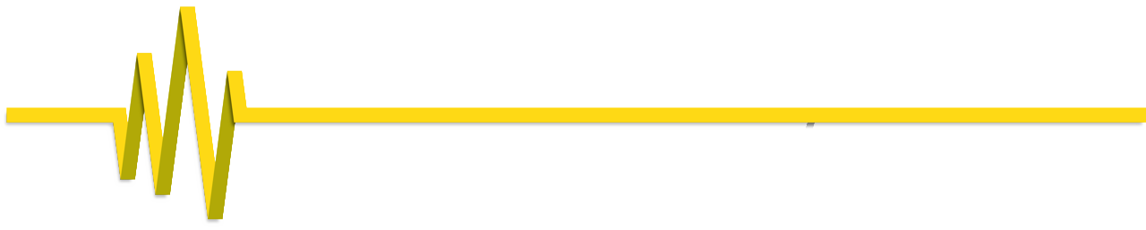 VWS Reverse logo banner